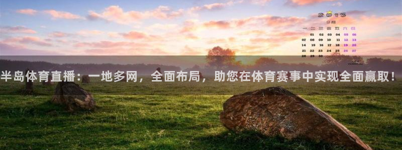 体育新闻