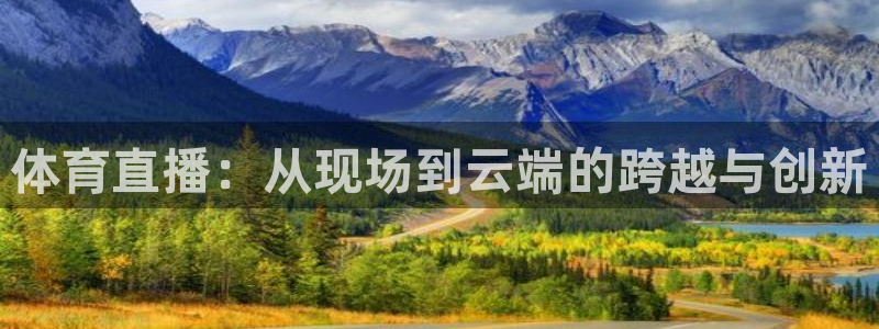 体育新闻